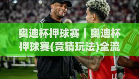 奥迪杯押球赛|奥迪杯押球赛(竞猜玩法)全流程拆解+奥迪杯押球赛场景化预判思路-线上十大最稳投球网在线观看初盘全场回放投屏赛程投注 奥迪杯押球赛|奥迪杯押球赛(竞猜玩法)全流程拆解+奥迪杯押球赛场景化预判思路-线上十大最稳投球网在线观看初盘全场回放投屏赛程投注