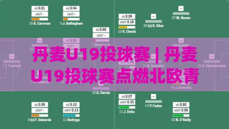丹麦U19投球赛 | 丹麦U19投球赛点燃北欧青春赛场：从赛制亮点到观赛体验的深度漫谈-最大权威网页让球网官网无插件低调看冠军走盘单双盘