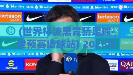 (世界杯波黑竞猜足球-世预赛堵球站) 2026世预赛新玩法:波黑球迷的“堵球站”实战指南