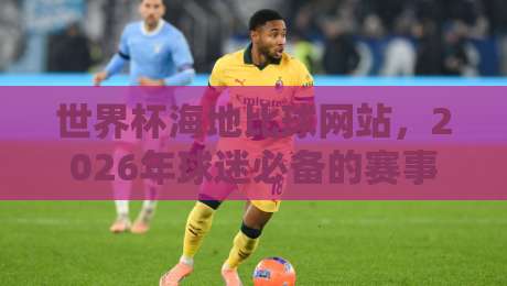 世界杯海地比球网站,2026年球迷必备的赛事分析平台