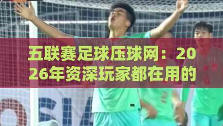 五联赛足球压球网:2026年资深玩家都在用的五大联赛投注指南