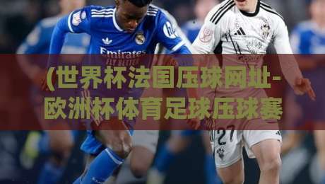 (世界杯法国压球网址-欧洲杯体育足球压球赛):2026年球迷必看的压球指南与避坑技巧