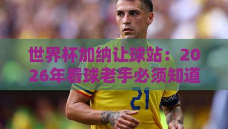 世界杯加纳让球站:2026年看球老手必须知道的几个内幕