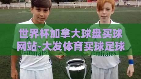 世界杯加拿大球盘买球网站-大发体育买球足球体育:2026主场优势下的球盘新玩法