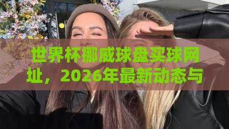 世界杯挪威球盘买球网址,2026年最新动态与实战解析