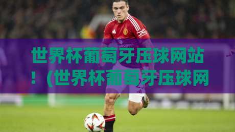 世界杯葡萄牙压球网站！(世界杯葡萄牙压球网站) 2026年实用指南与避坑建议