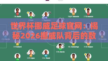 世界杯挪威足球官网:揭秘2026挪威队背后的数字力量(世界杯挪威足球官网)
