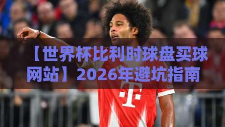 【世界杯比利时球盘买球网站】2026年避坑指南:如何识别正规平台?
