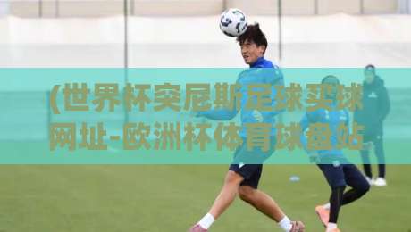 (世界杯突尼斯足球买球网址-欧洲杯体育球盘站)?2026年球迷必看的实用指南