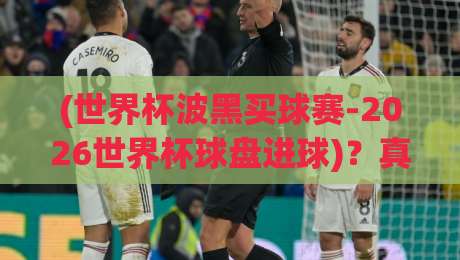 (世界杯波黑买球赛-2026世界杯球盘进球)?真相全在这里——世界杯波黑买球赛-2026世界杯球盘进球攻略