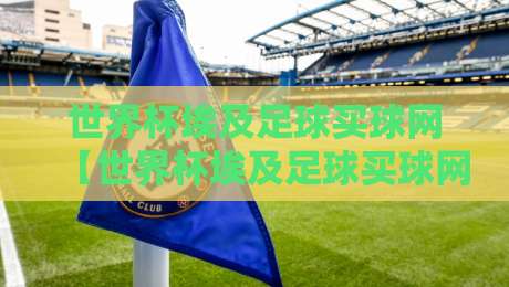 世界杯埃及足球买球网【世界杯埃及足球买球网】:2026年球迷必看的实用指南与避坑攻略