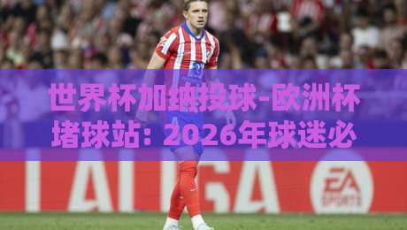 世界杯加纳投球-欧洲杯堵球站: 2026年球迷必看的投球与堵球战术深度解析