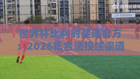 世界杯比利时买球官方:2026年合法投注渠道与红魔军团胜率深度解析