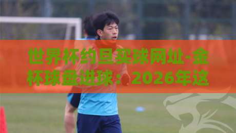 世界杯约旦买球网址-金杯球盘进球:2026年这届世界杯的进球密码,你细品