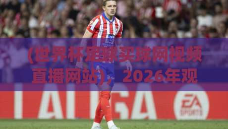 (世界杯足球买球网视频直播网站),2026年观赛新选择:高清流畅【世界杯足球买球网视频直播网站】让你不错过每粒进球