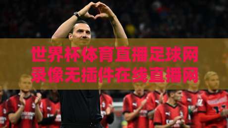 世界杯体育直播足球网录像无插件在线直播网：2026年球迷必备的高清观赛指南
