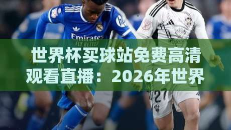 世界杯买球站免费高清观看直播：2026年世界杯观赛指南，教你避开陷阱！