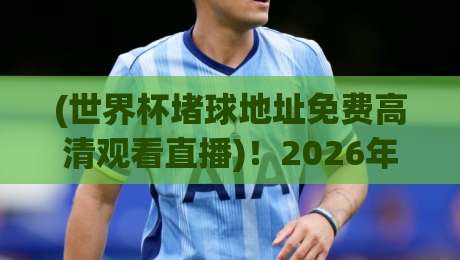 (世界杯堵球地址免费高清观看直播)！2026年球迷必收藏的四大观赛秘籍