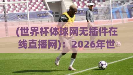 (世界杯体球网无插件在线直播网)：2026年世界杯观赛首选，为什么千万球迷都在用它？