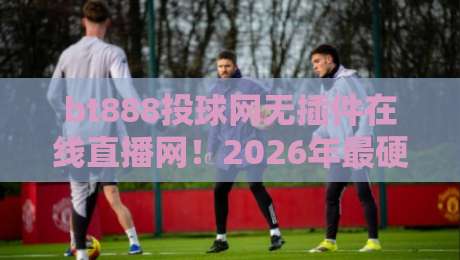 bt888投球网无插件在线直播网！2026年最硬核的棒球赛事观赛攻略